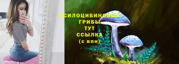 стафф Арсеньев