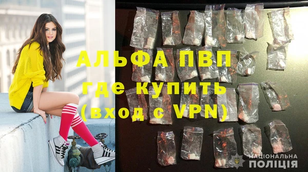 спиды Армянск