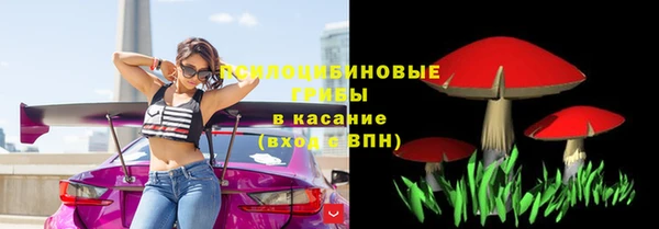 каннабис Аркадак