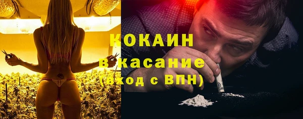 стафф Арсеньев